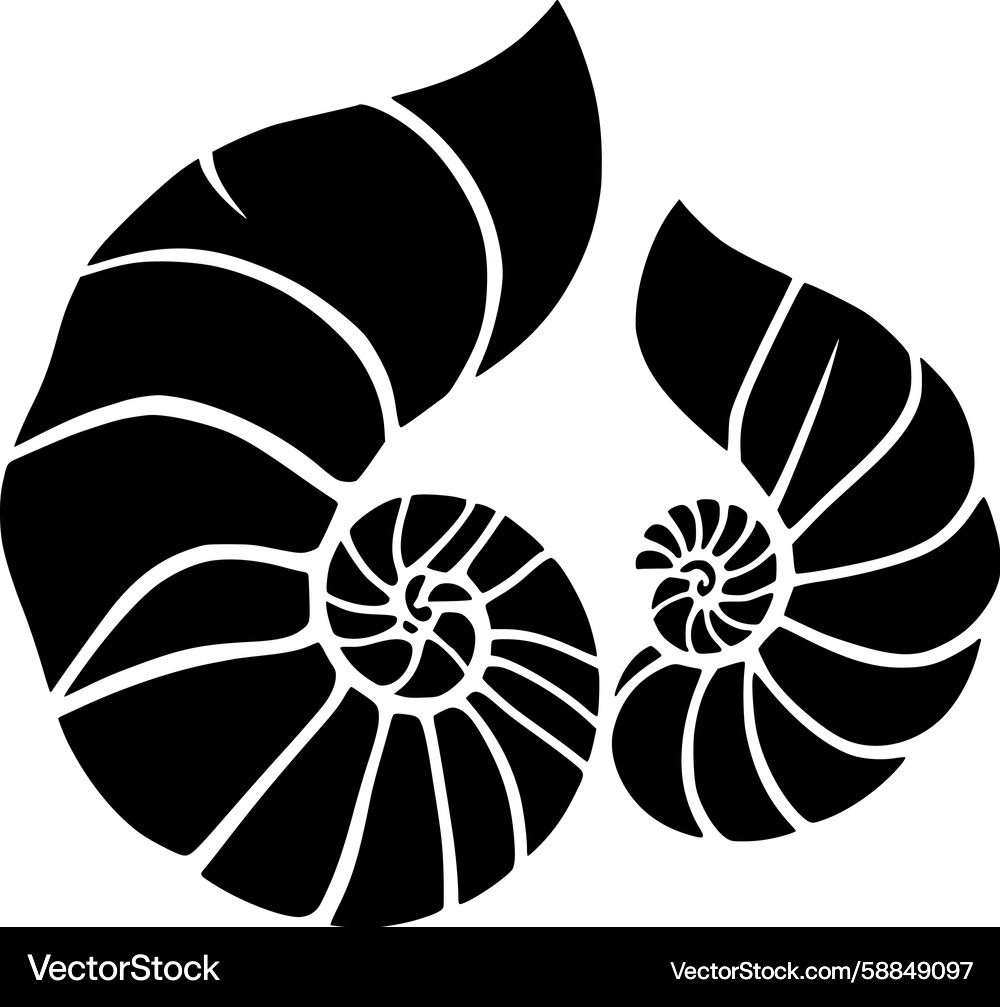 Nautilus Shells - Symmetrical Pattern Vector Image