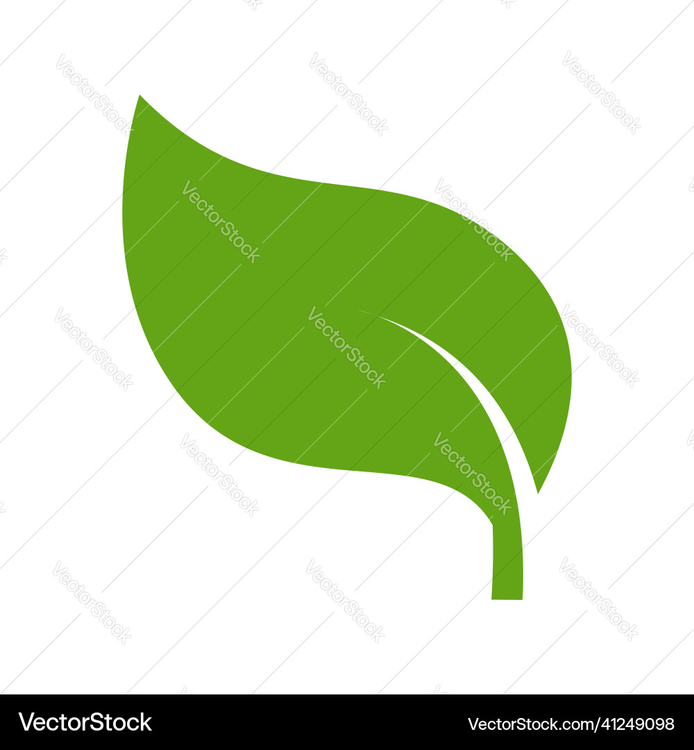 Eco green color leaf logo flat icon isolated vector image