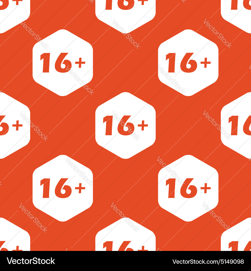 Orange hexagon 16 plus pattern vector image