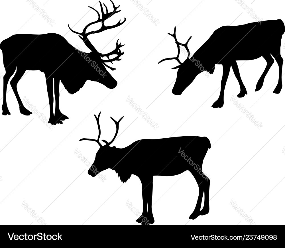 Reindeer Silhouettes - Antlered Animals Vector Image