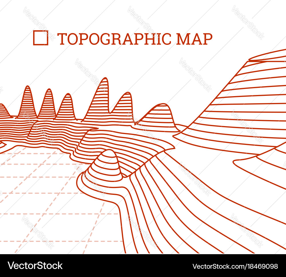 Topographical map of the locality vector image