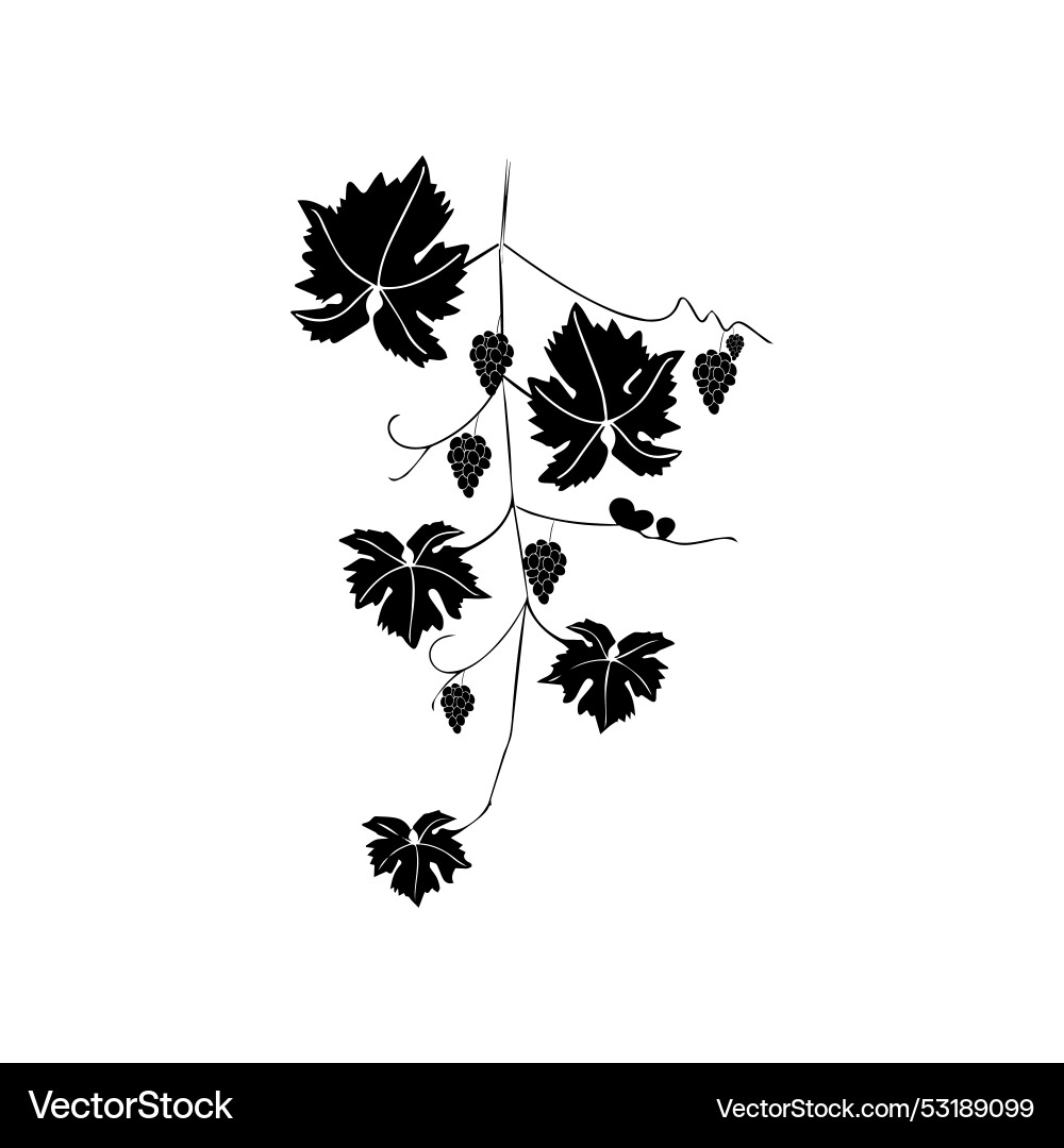 Grape tree icon Grape tree icon vector image