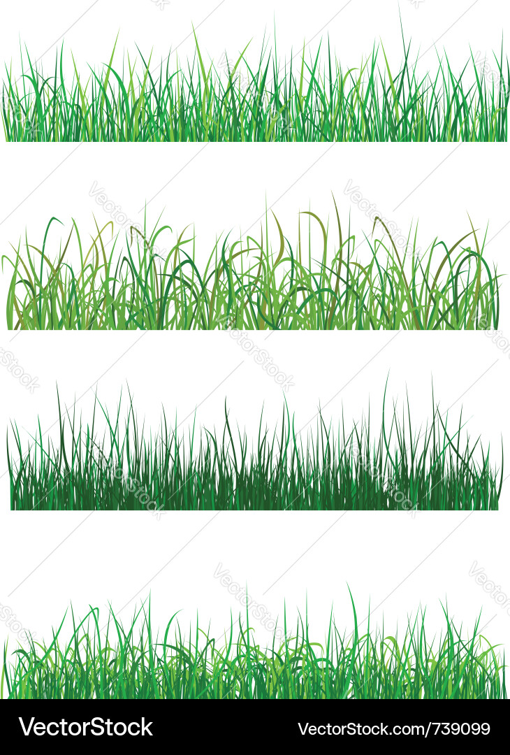 Grass patterns vector image