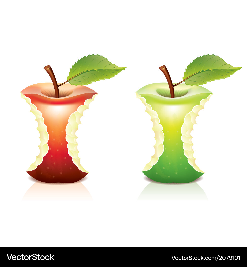 Object nibbling apples vector image