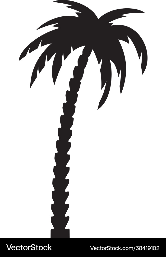 Palm tree vector image