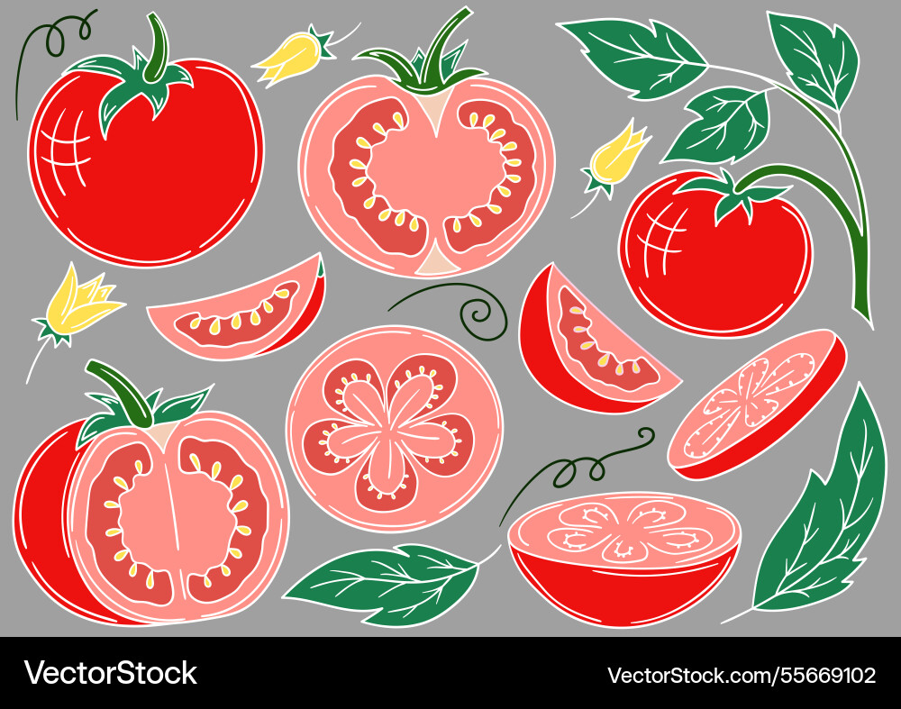 Set of color in hand draw style Set of color in hand draw style vector image
