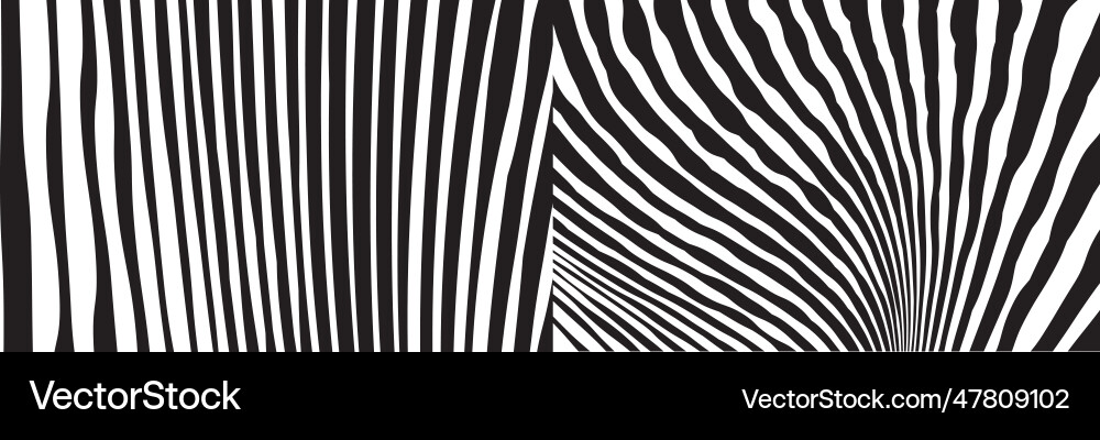 Wild zebra wave pattern set with black and white Wild zebra wave pattern set with black and white vector image