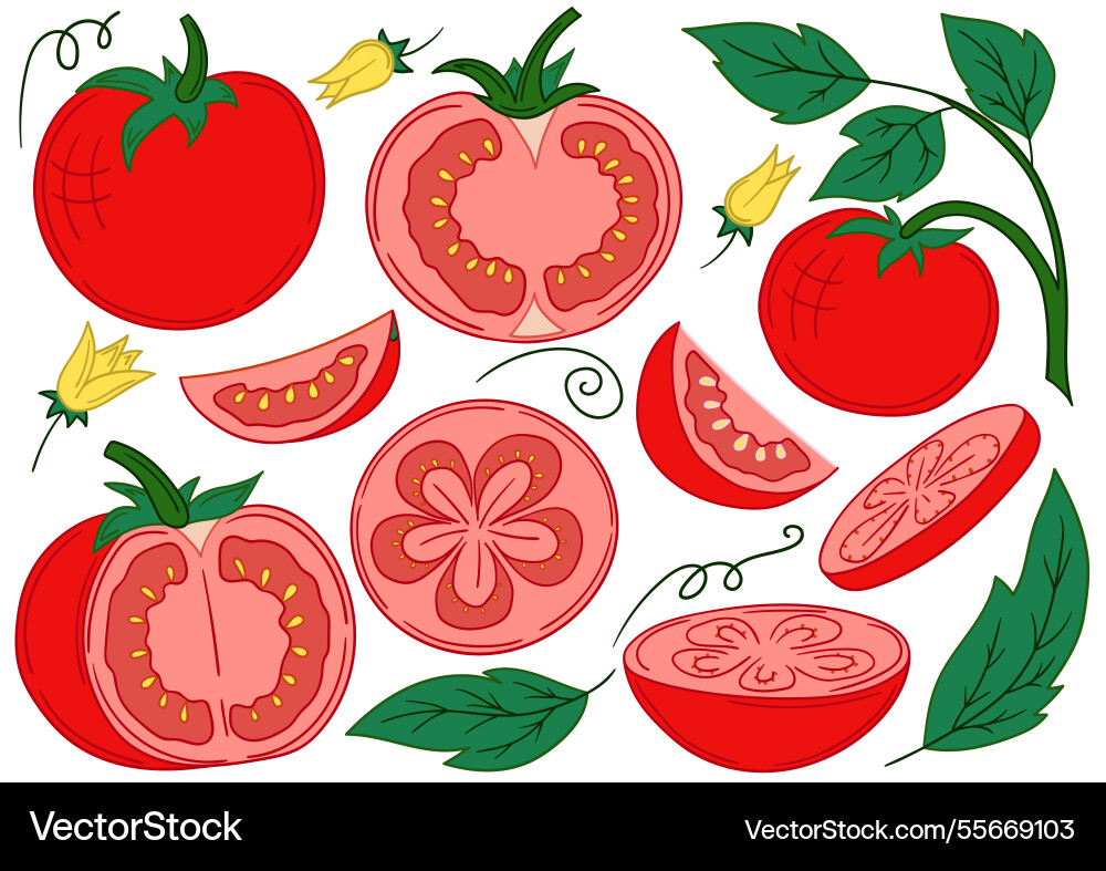 Set of color in hand draw style Set of color in hand draw style vector image