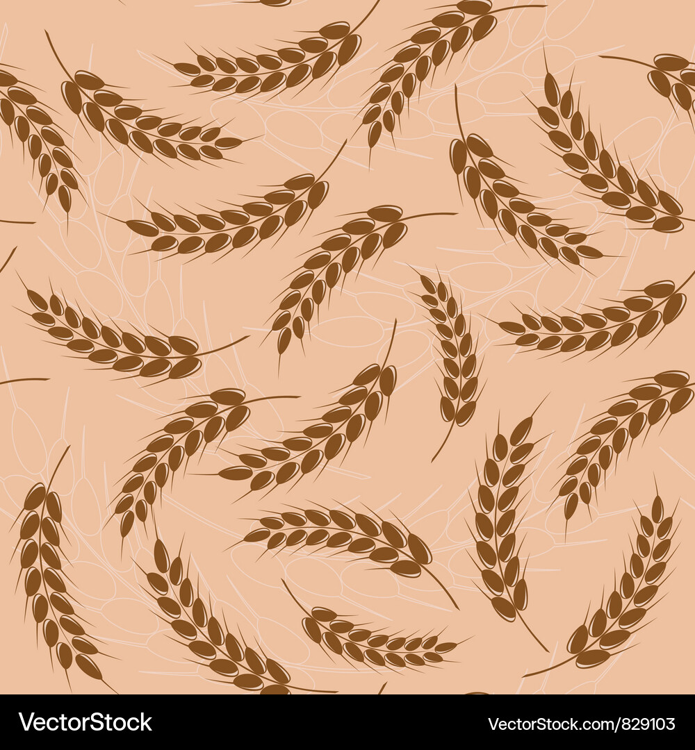 Wheat Spikes Seamless Pattern Vector Image
