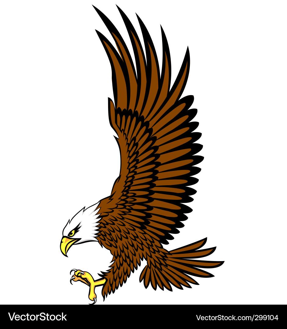 American Bald Eagle vector image