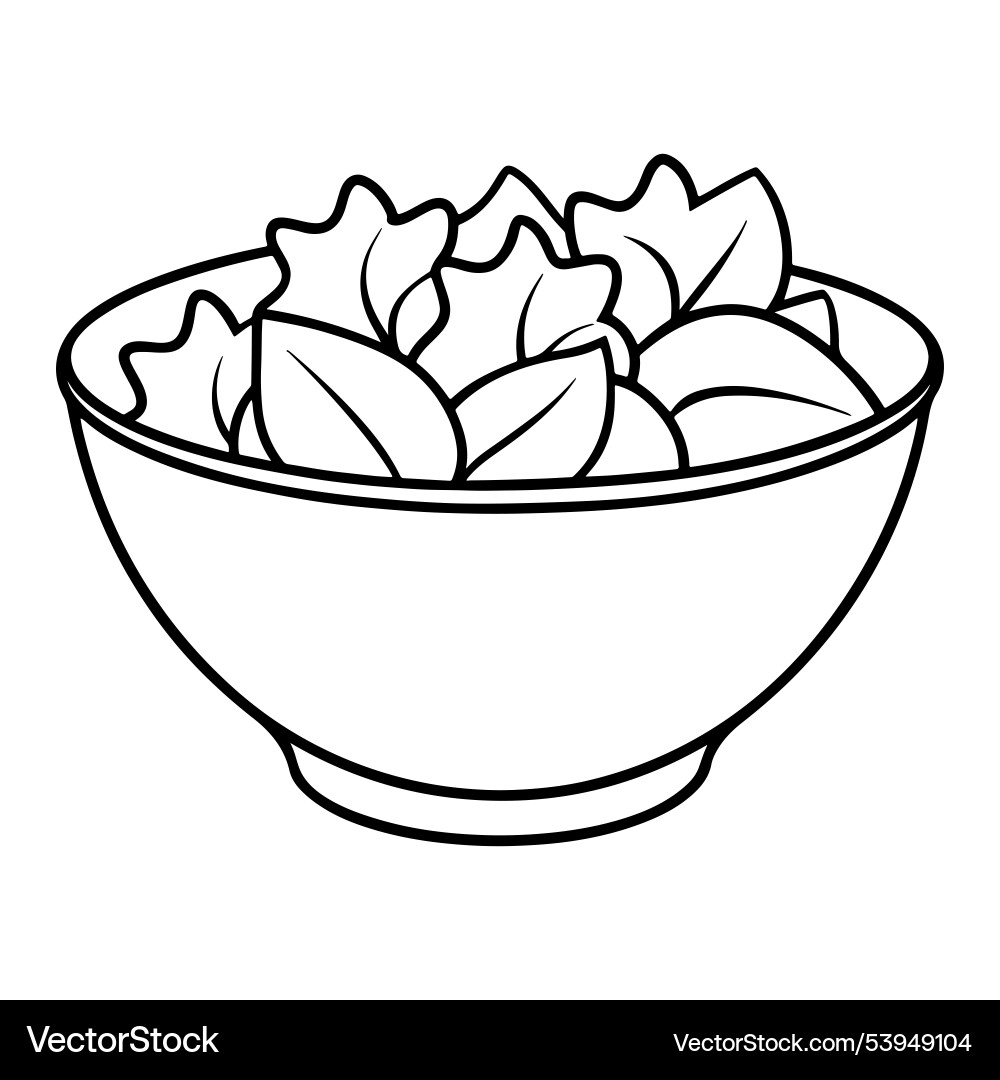 Dynamic salad with line art Vector Image