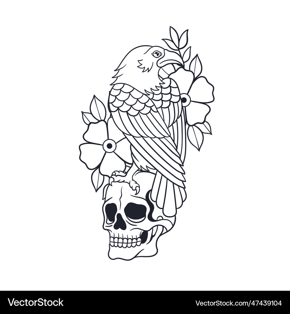 Hand drawn of crow and skull outline Hand drawn of crow and skull outline Vector Image