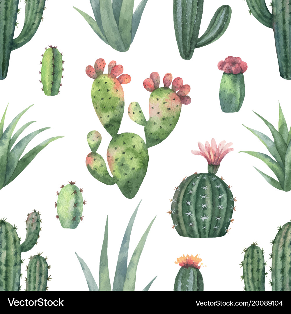 Watercolor Cactus Pattern vector image