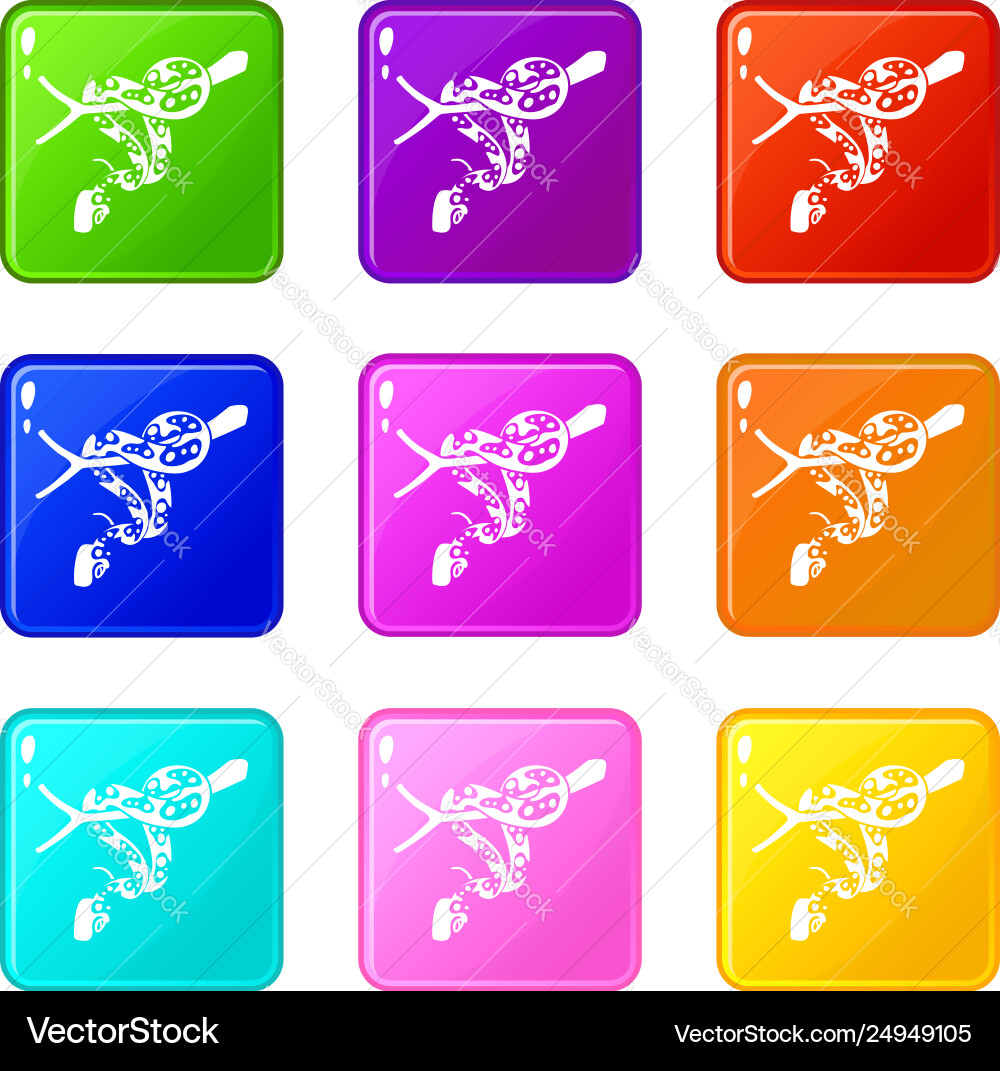 Ball python icons set 9 color collection Ball python icons set 9 color collection vector image