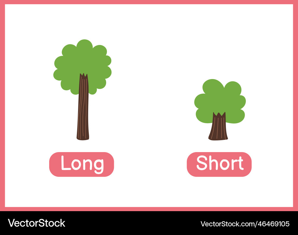 Long and short opposite adjectives educational vector image