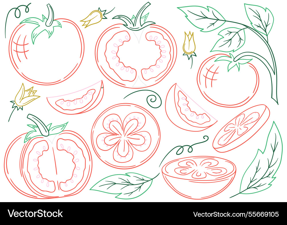Set of color in hand draw style Set of color in hand draw style vector image