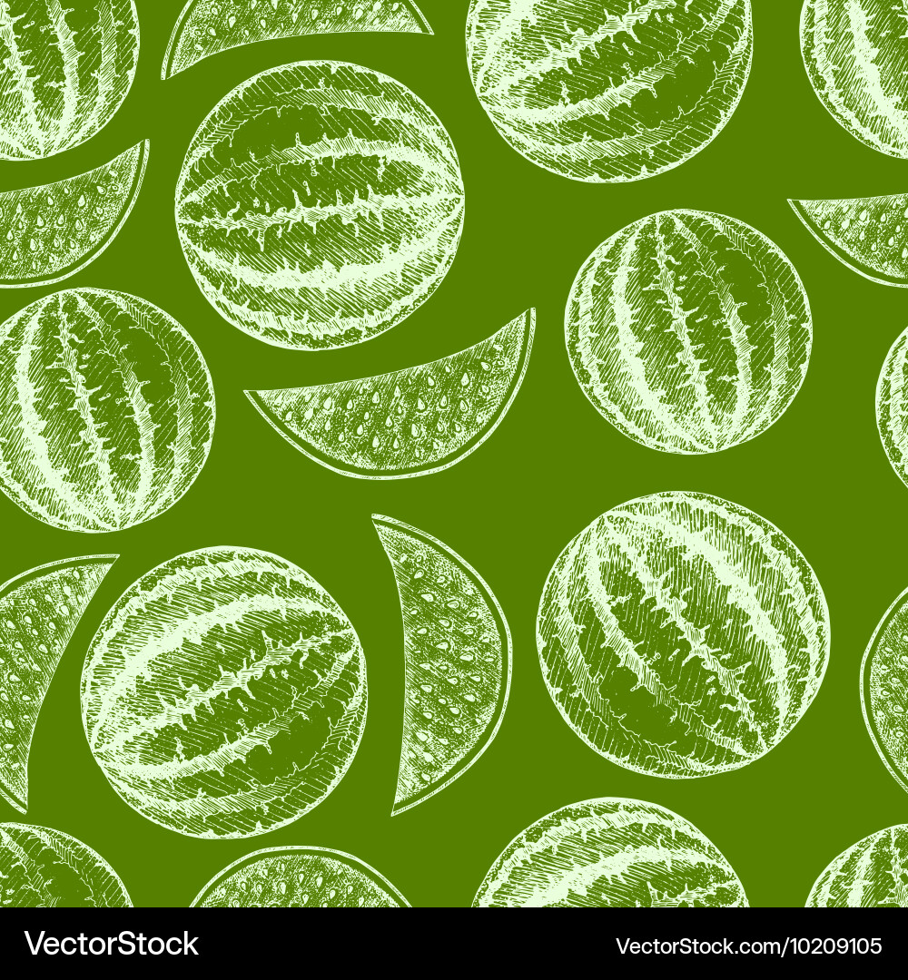 Watermelon Sketch Pattern - Fresh & Simple Vector Image
