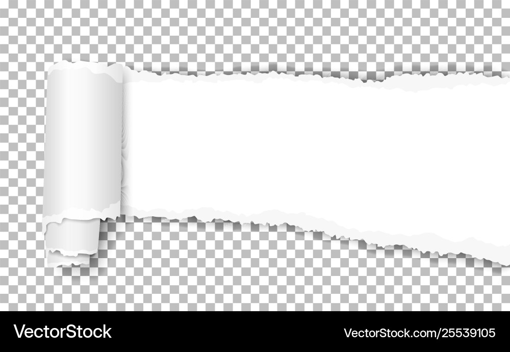 White torn wisp paper with curl and shadow vector image