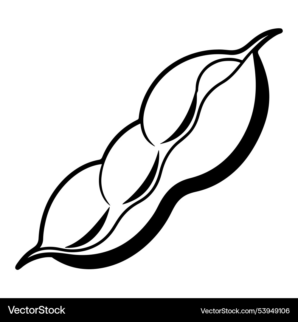 Dynamic soybean with line art Vector Image