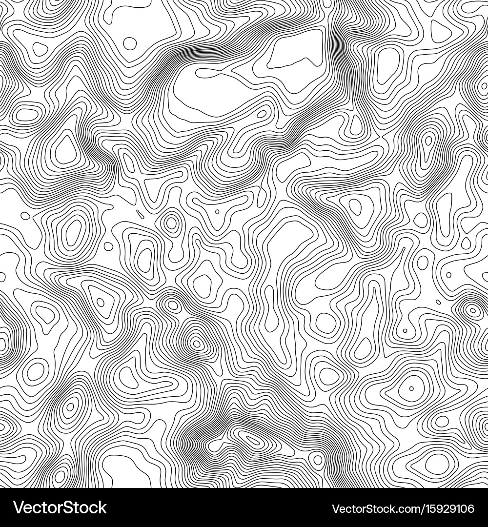 Seamless pattern topographic map background vector image
