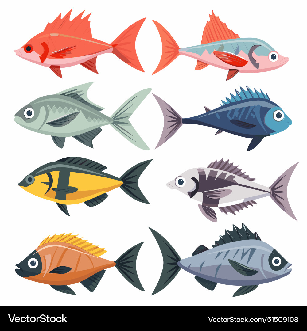 Different tropical fish 2025