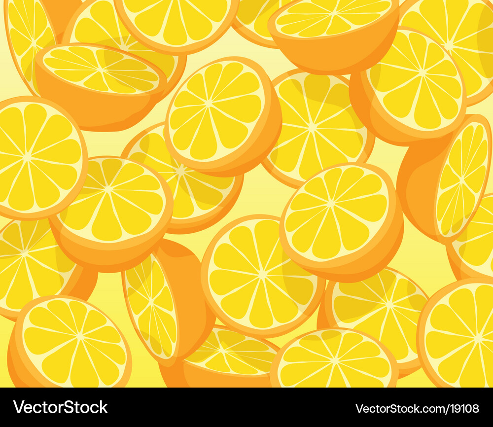 Sliced Oranges Background Vector Image