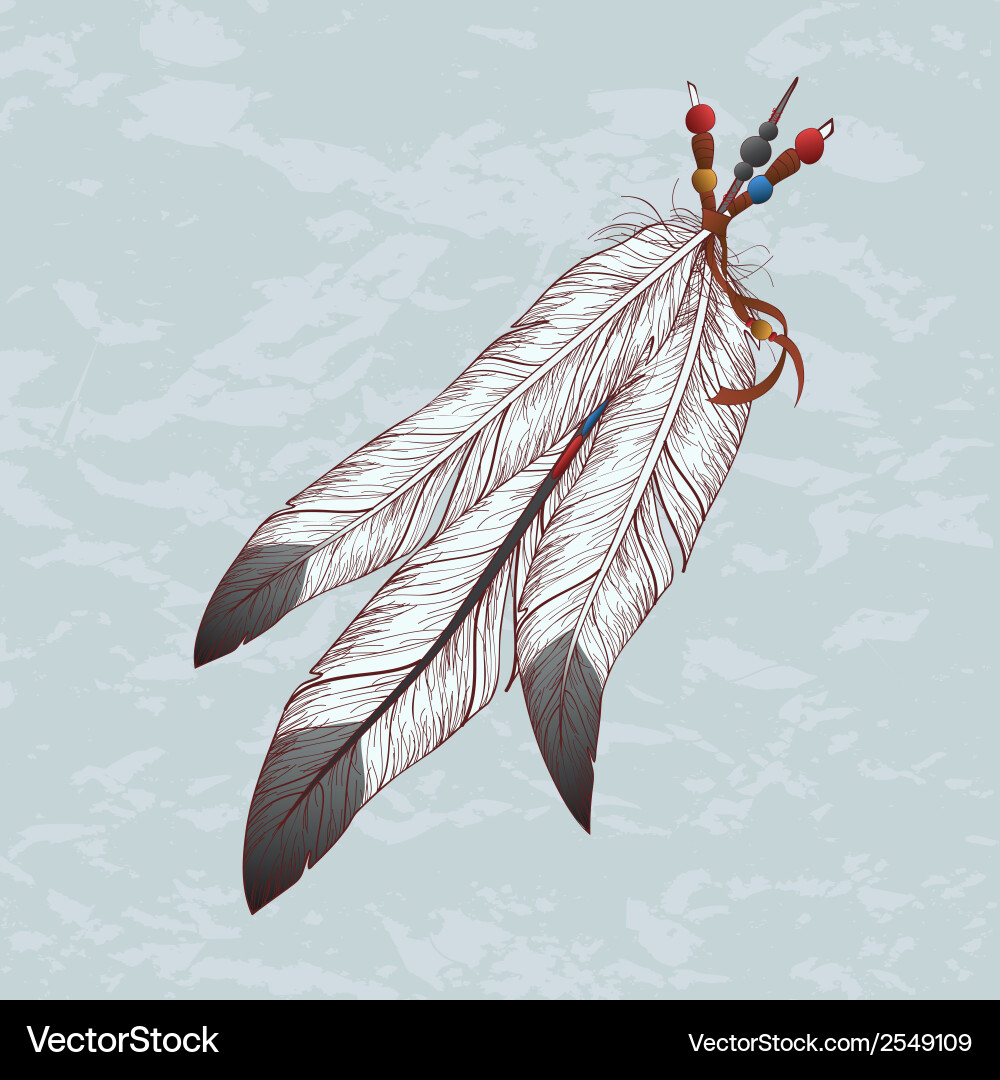 Native Feather Pattern Vector Image