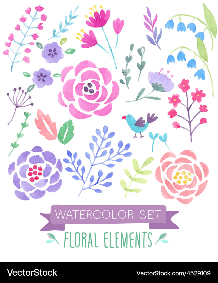 Watercolor Floral Collection Vector Image