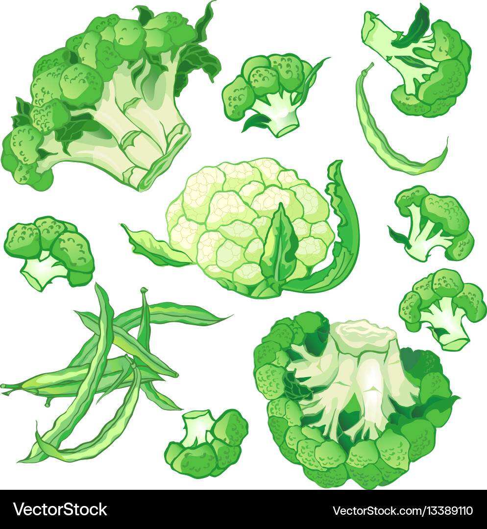Vegetables set with broccoli green string beans Vector Image
