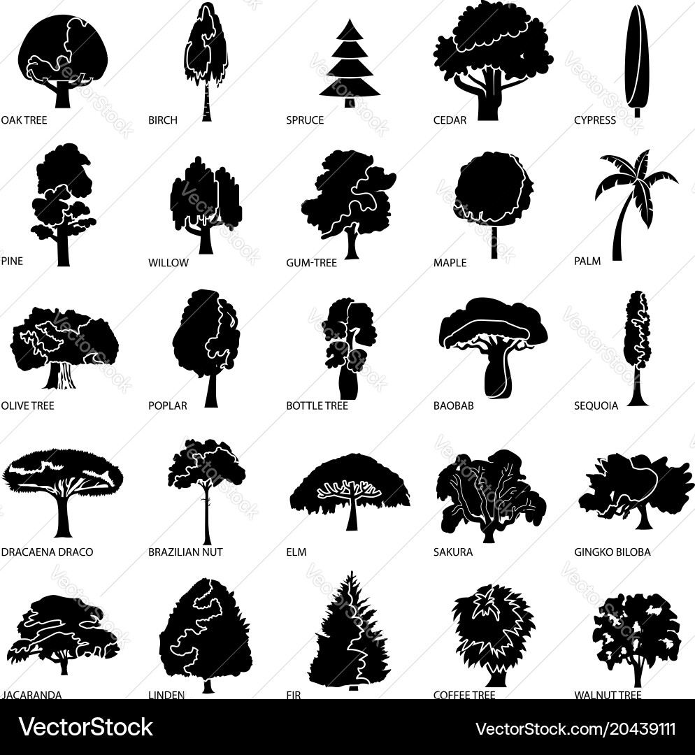 Tree Icon Set - 25 Diverse Species Royalty Free Vector Image