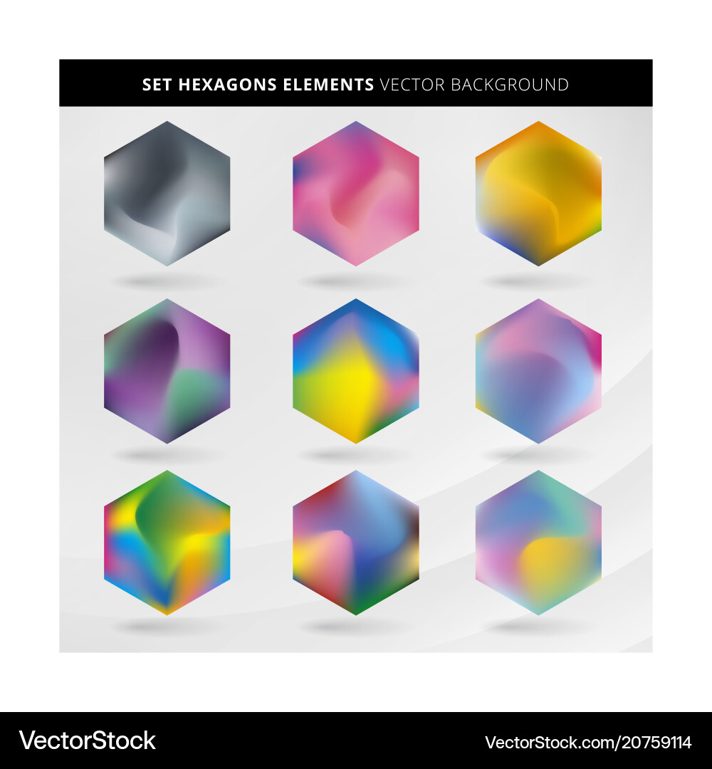 Abstract collection label and tab hexagon Abstract collection label and tab hexagon vector image