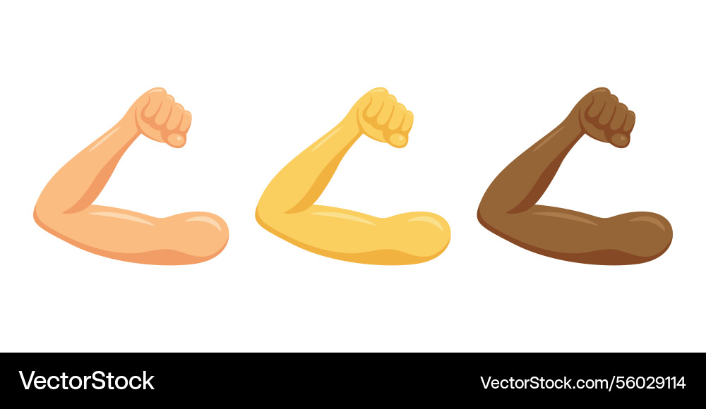 Muscular arm icon set with diverse skin tones Muscular arm icon set with diverse skin tones vector image