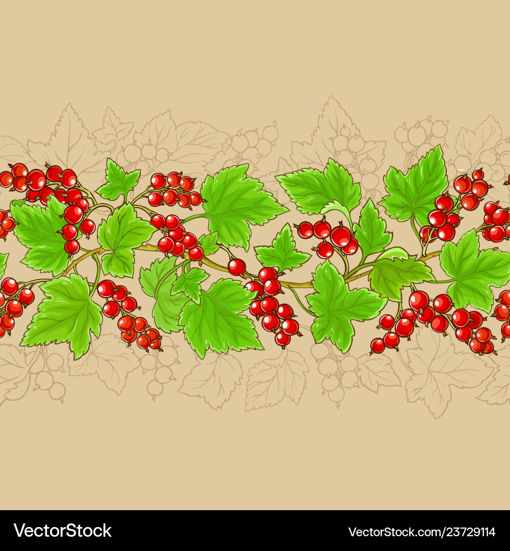 Red currant branches pattern on color background Vector Image