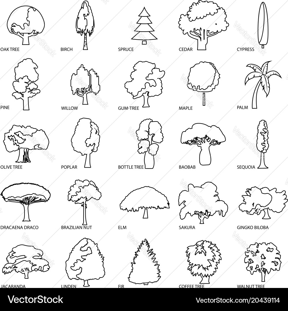 Tree types icons set outline style vector image
