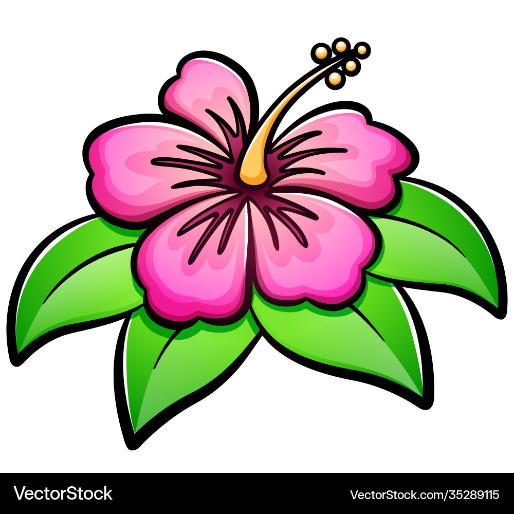 Hibiscus Flower Cartoon – Royalty-Free Vector | VectorStock, image size:1000x1000