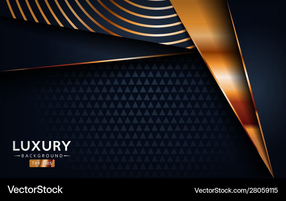 Luxurious premium black abstract background Luxurious premium black abstract background vector image