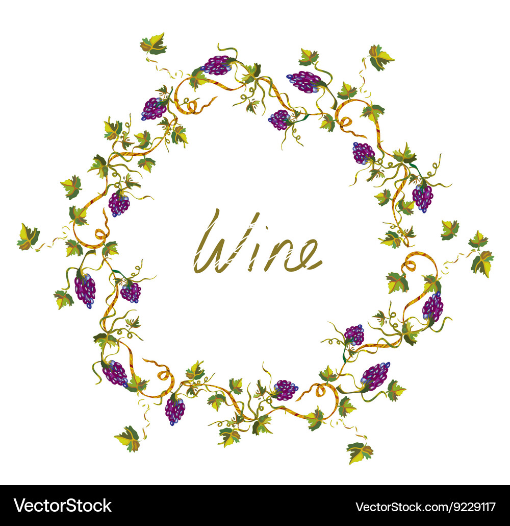 Wine label or background with vines and grape Vector Image