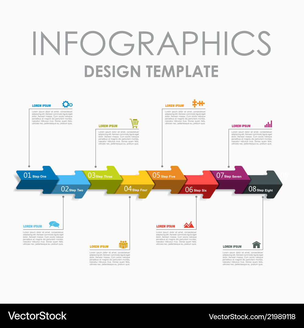 Modern Infographic Template - Data Visualization vector image