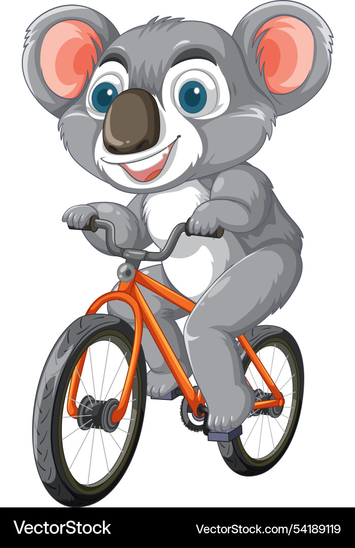 Cute koala happily cycling on an orange bike Cute koala happily cycling on an orange bike vector image