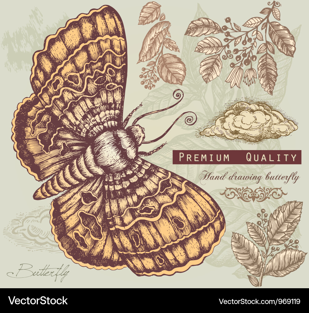 Vintage butterfly Vector Image