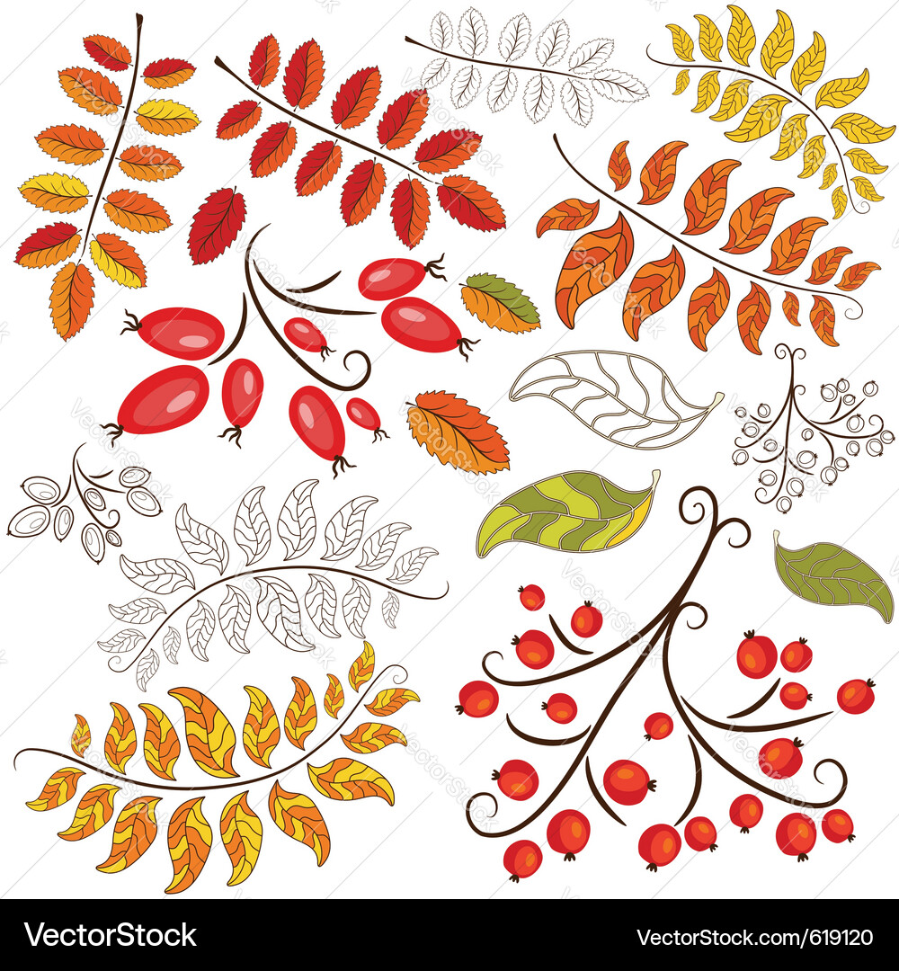 Autumn floral Vector Image
