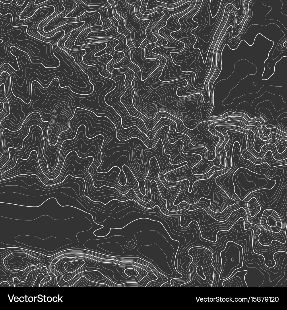 Topographic map background with space for copy Vector Image
