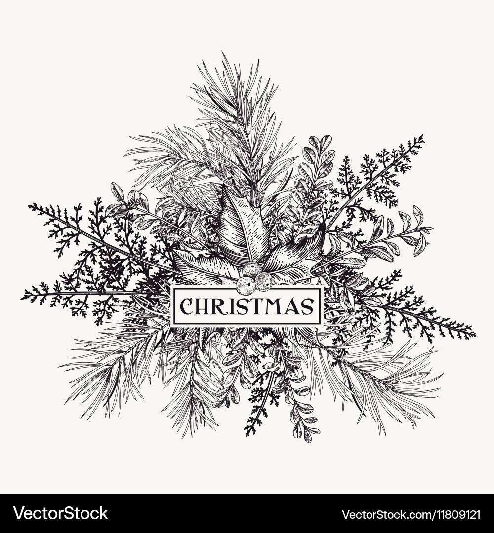 Elegant Pine and Holly Christmas Card Vector Image