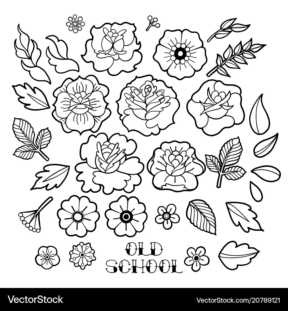Retro Floral Collection Vector Image