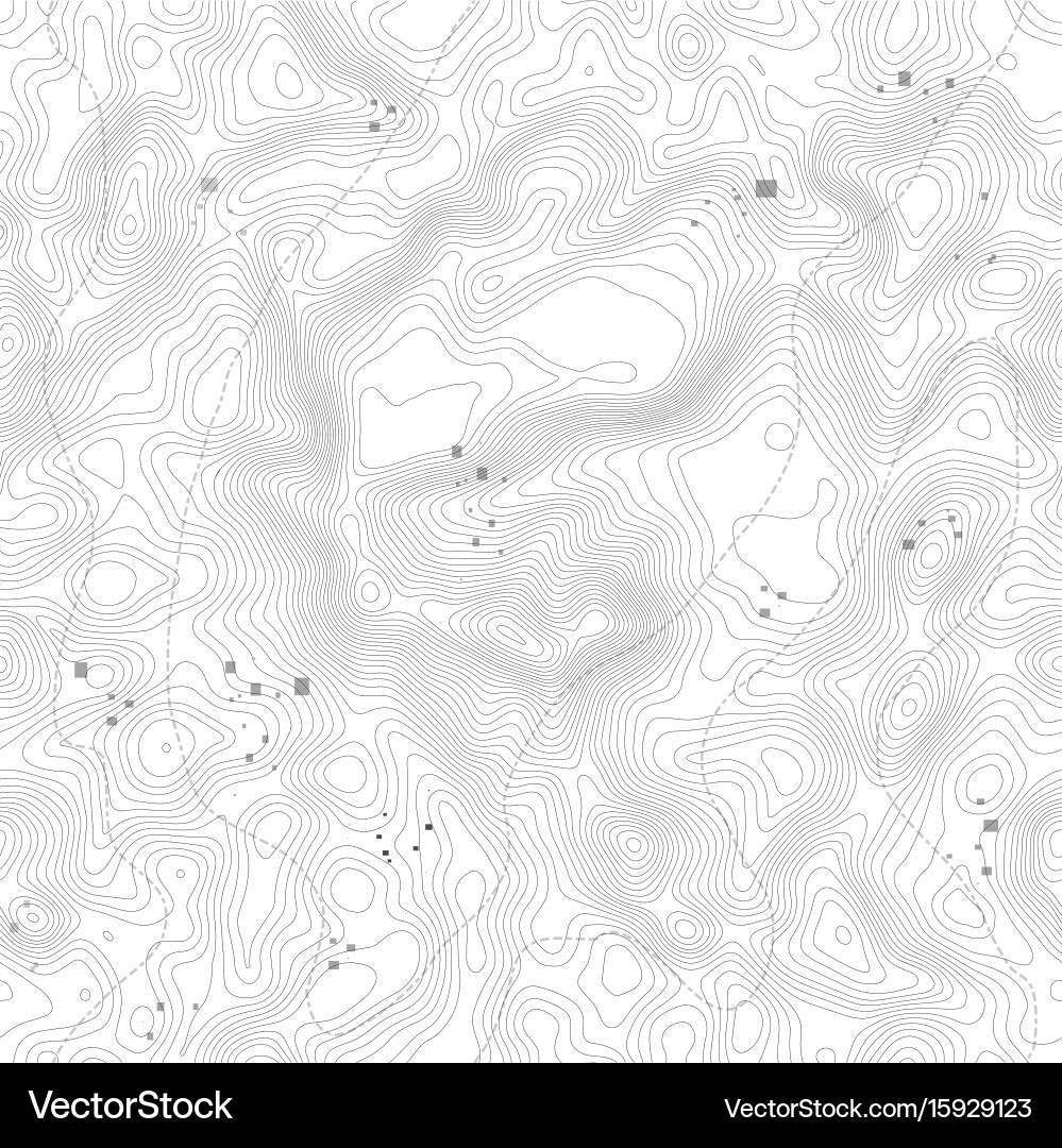 Seamless pattern topographic map background vector image