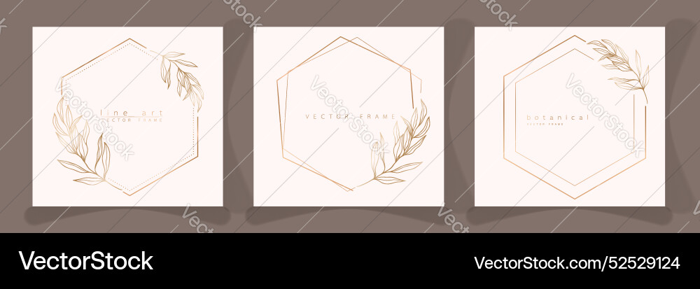 Set of hexagon frame templates in minimal linear vector image