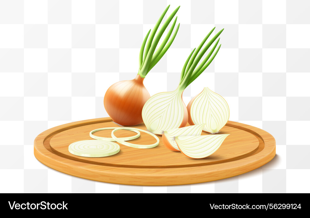 Whole half and slices of fresh onion on a cutting Vector Image