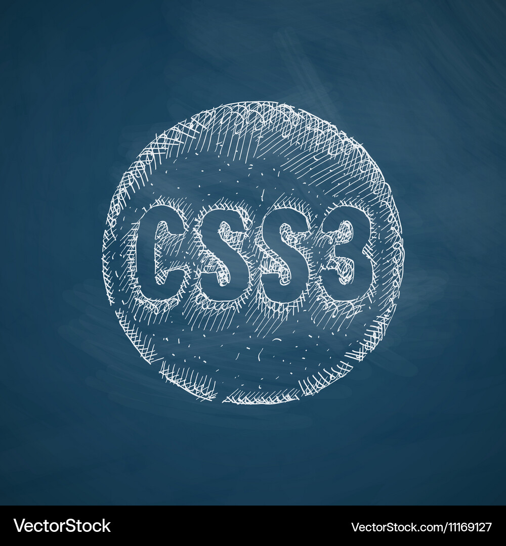 Css3 icon Vector Image