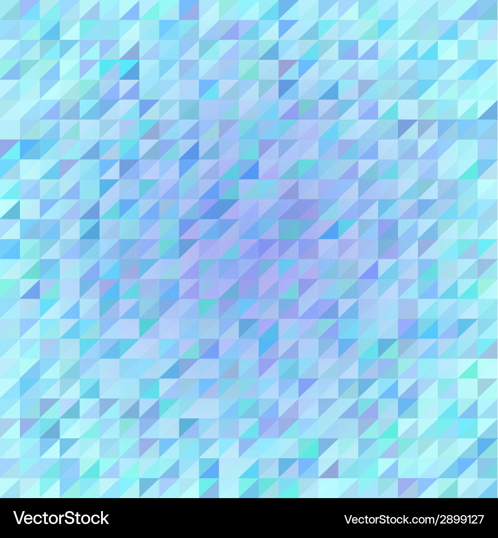 Geometry ice pattern vector image