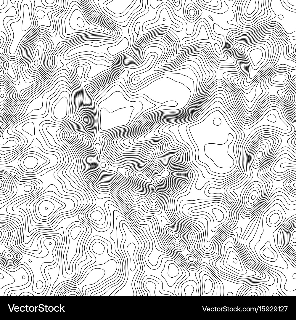 Seamless pattern topographic map background vector image